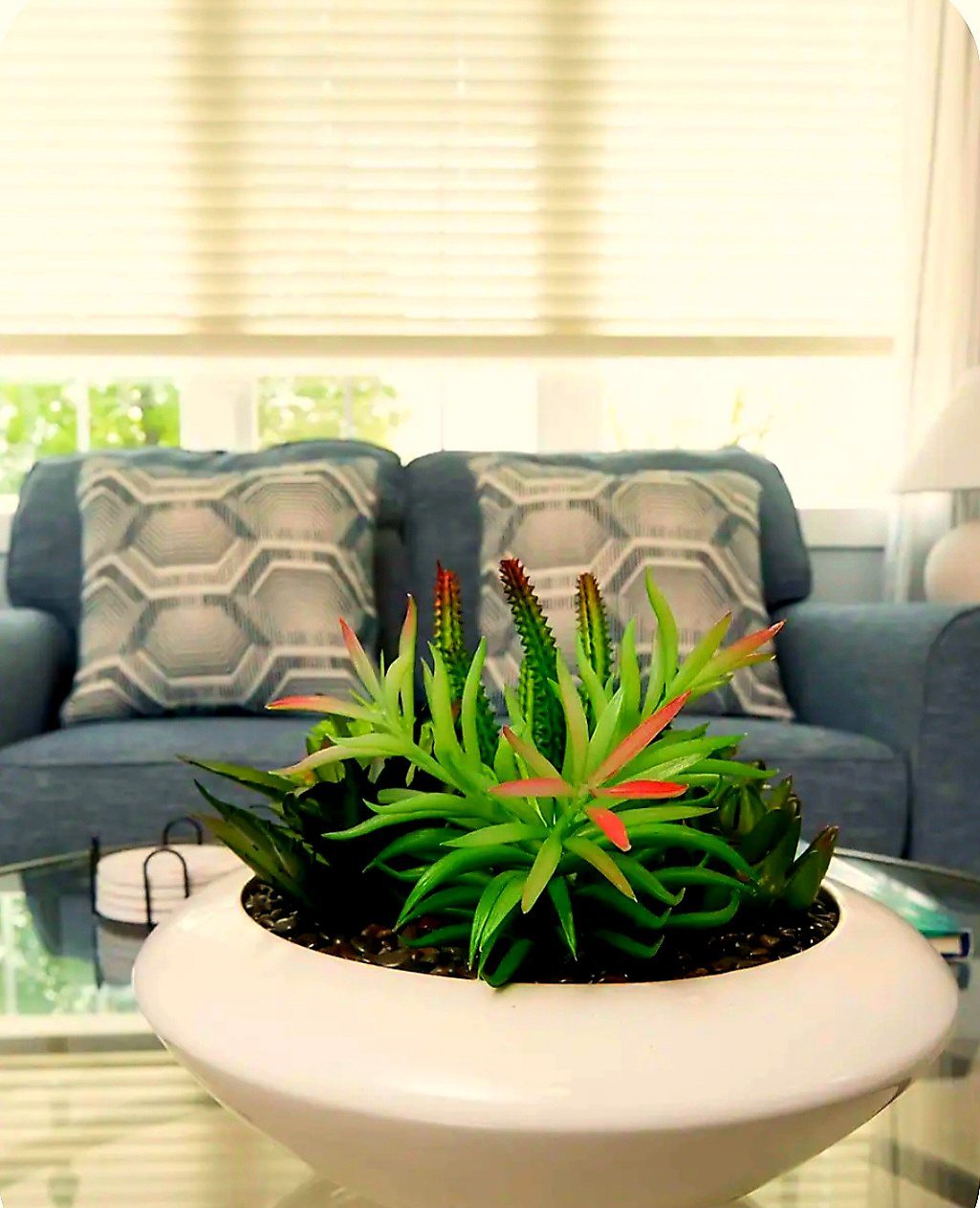 Succulent centerpiece on glass coffee table in sitting area